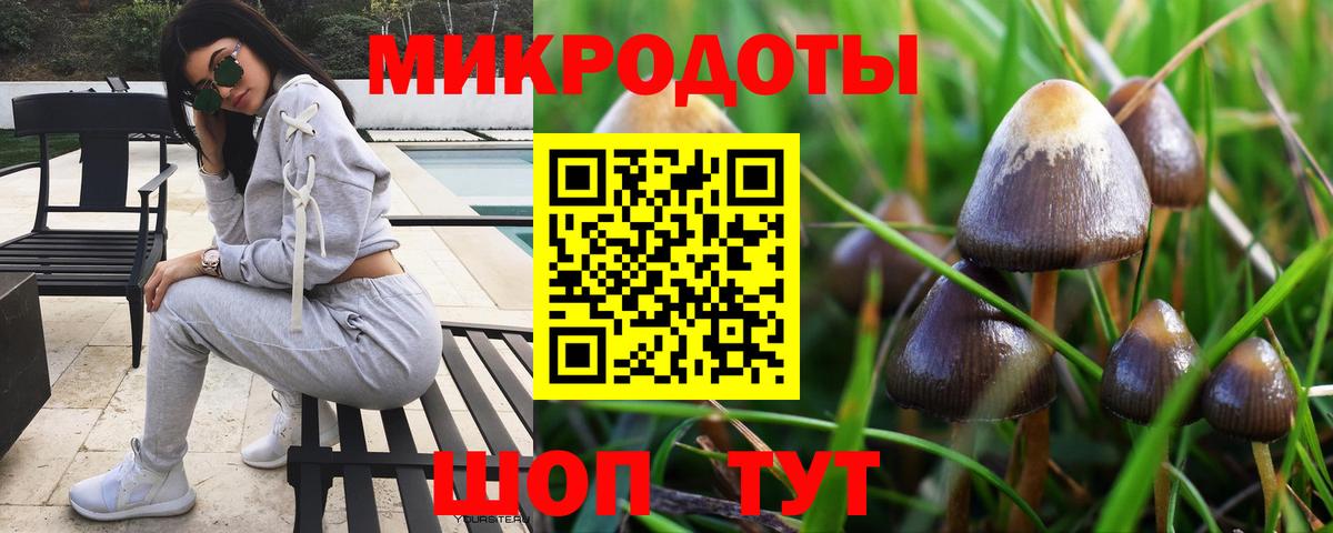 Галлюциногенные грибы Psilocybine cubensis Лобня